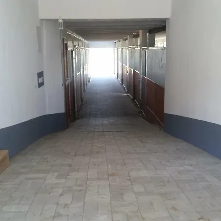 Agroturystyka Stylowy Pokoj W Stajni Krajno-Zagorze Exterior photo