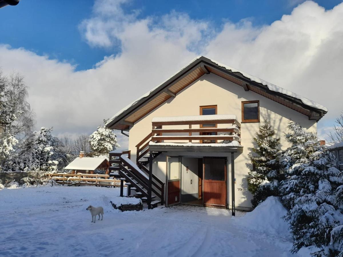 Stylowy W Stajni Farm stay