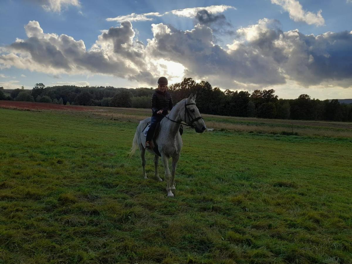 Stylowy W Stajni Farm stay *