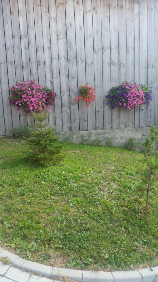 Farm stay Stylowy W Stajni